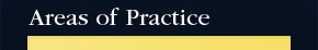 Criminal Defense Practice Areas